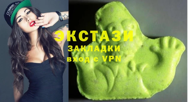 СК Алексин