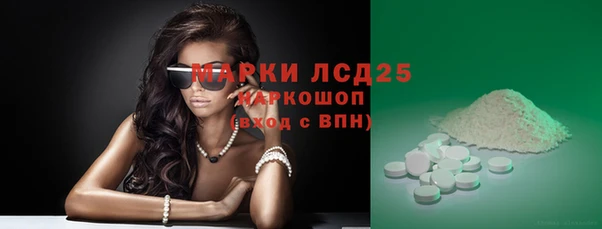 СК Алексин