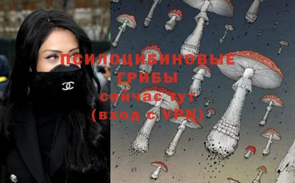 ешки Алексеевка