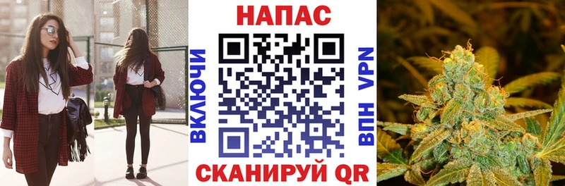 МАРИХУАНА планчик как найти Балашиха